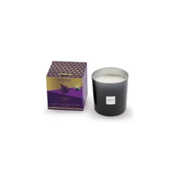 Bougie parfumée 450 gr Figue Noire, Esteban