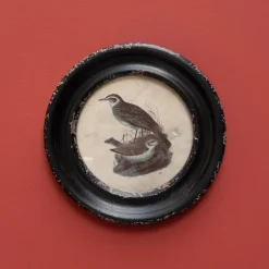 Cadre rond Oiseau Long Bec, Chehoma