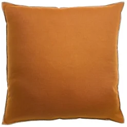 Coussin Zeff Céleste 45 x 45 cm, Vivaraise
