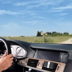 Diffuseur de voiture Thé en Fleur, Esteban