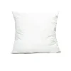 Intérieur de Coussin, Haomy