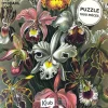 Puzzle de 1000 pièces Bouquet de Fleurs, Kiub
