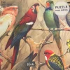 Puzzle de 1000 pièces Perroquets, Kiub