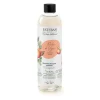 Recharge de bouquet parfumé Pêche de Vigne, Esteban