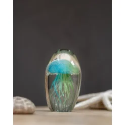 Sulfure Méduse verte et bleue, Chehoma