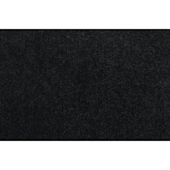 Tapis Schwarz, Salonloewe Efia