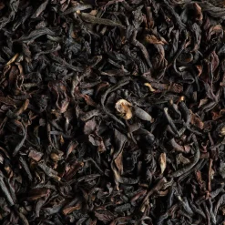Thé Darjeeling Bio en sachets, Dammann Frères