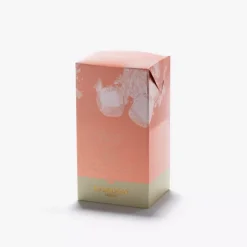 Thé glacé Pêche en sachets, Dammann Frères
