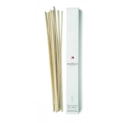 Tiges à parfum pour diffuseur, Geodesis