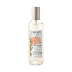 Vaporisateur 100 ml Pêche de vigne, Esteban