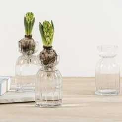 Vase en verre Dressy, Rasteli